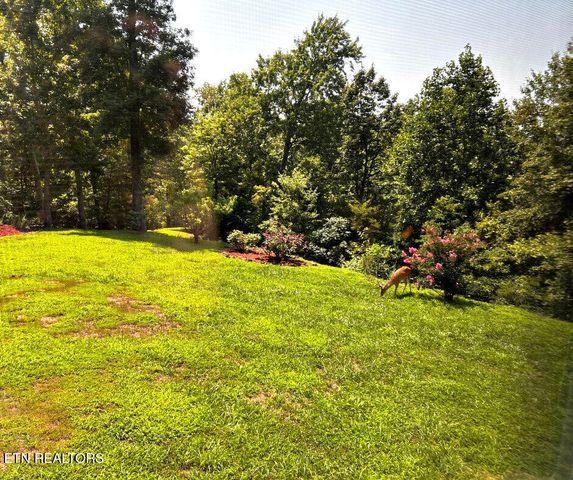 2278 Lower Rinehart Rd, Dandridge, TN 37725