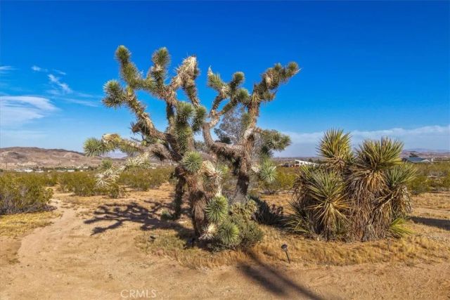 2625 Geronimo Trail, Landers, CA 92285