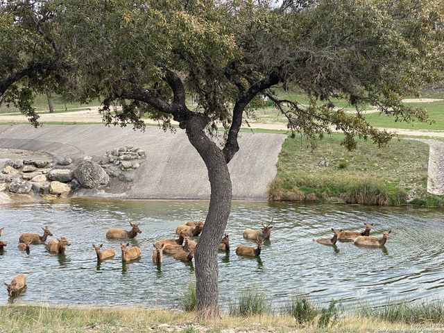 56 W Red Stage, Pipe Creek, TX 78063