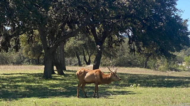 56 W Red Stage, Pipe Creek, TX 78063