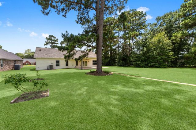 13003 Point Aquarius Boulevard, Willis, TX 77318