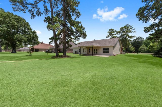 13003 Point Aquarius Boulevard, Willis, TX 77318