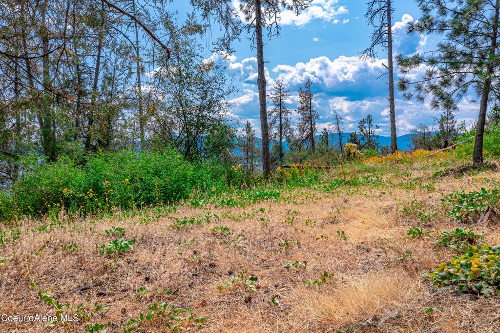 Cottage Island, Hope, ID 83836 photo 32