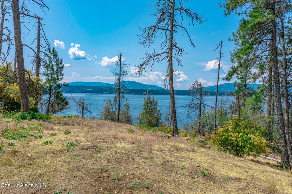 Cottage Island, Hope, ID 83836 photo 33