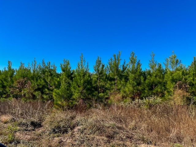 T-3 Fm 787, Votaw, TX 77376