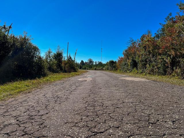 T-3 Fm 787, Votaw, TX 77376