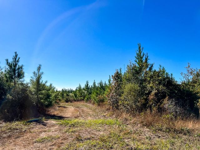 T-3 Fm 787, Votaw, TX 77376