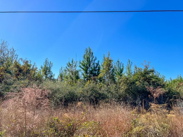 T-3 Fm 787, Votaw, TX 77376