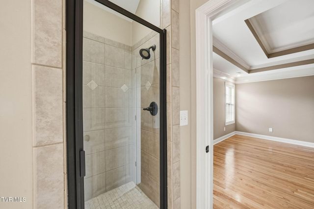 177 Sunset Meadows Court, Gray, TN 37615