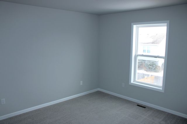 828 Blackhawk Drive, Braidwood, IL 60408