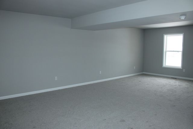 828 Blackhawk Drive, Braidwood, IL 60408