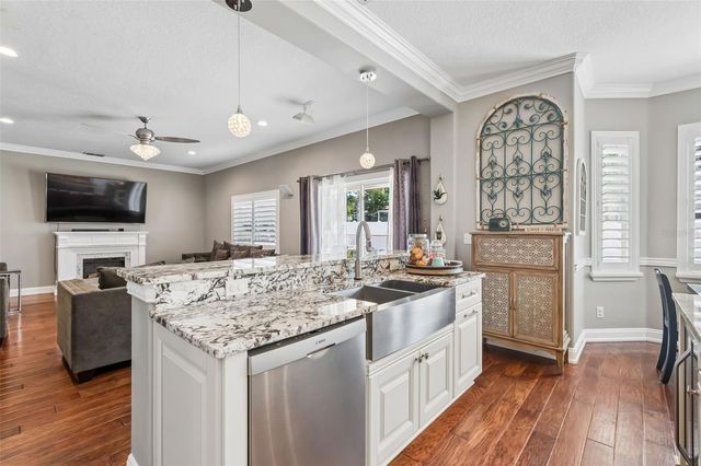 12507 ASHDOWN DRIVE, Odessa, FL 33556