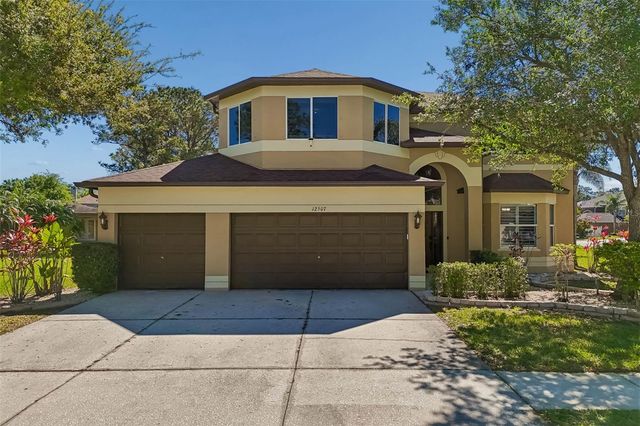 12507 ASHDOWN DRIVE, Odessa, FL 33556