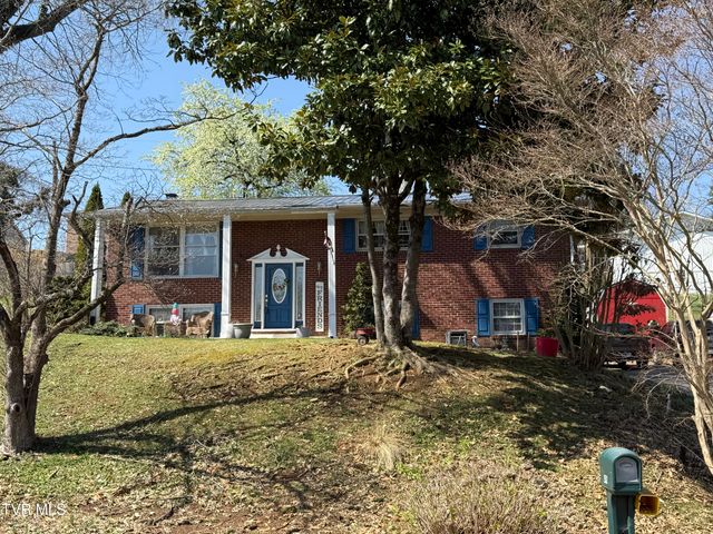 952 Afton Street, Kingsport, TN 37660