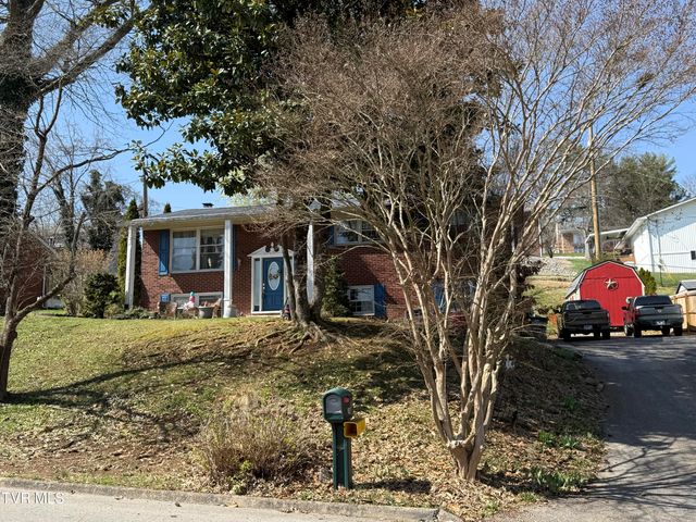 952 Afton Street, Kingsport, TN 37660