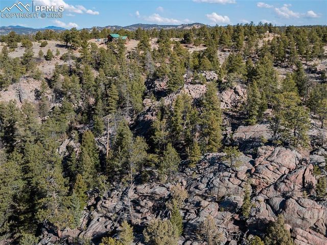 558 Hawk Lane, Florissant, CO 80816