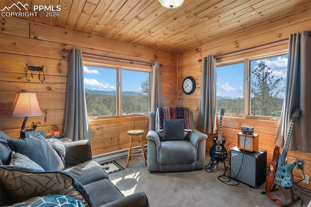 558 Hawk Lane, Florissant, CO 80816