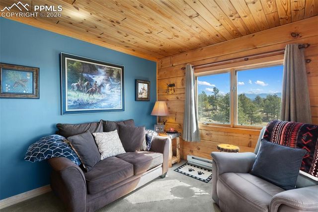 558 Hawk Lane, Florissant, CO 80816