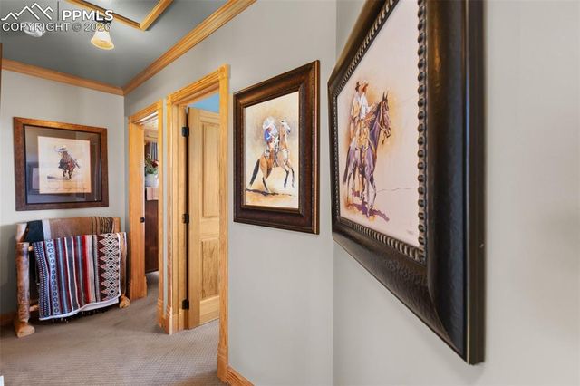 558 Hawk Lane, Florissant, CO 80816