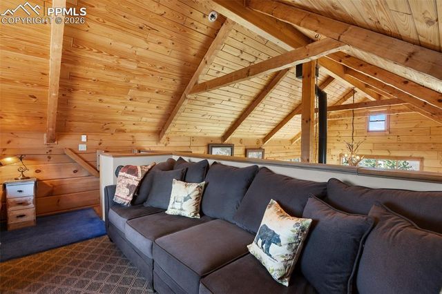 558 Hawk Lane, Florissant, CO 80816