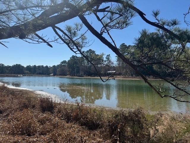 0 Sycamore Drive, Montgomery, TX 77356