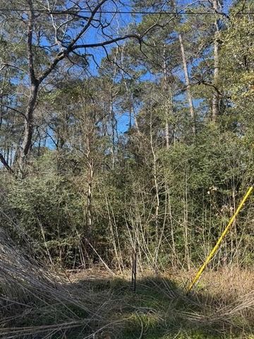 0 Sycamore Drive, Montgomery, TX 77356