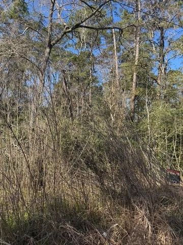 0 Sycamore Drive, Montgomery, TX 77356