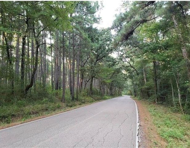 0 Sycamore Drive, Montgomery, TX 77356