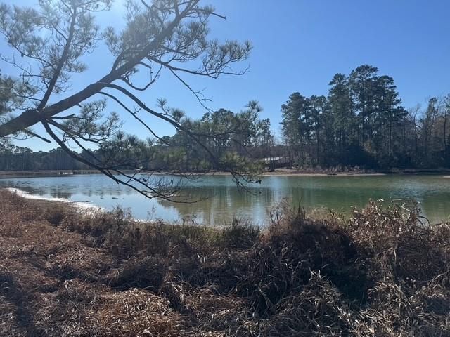 0 Sycamore Drive, Montgomery, TX 77356