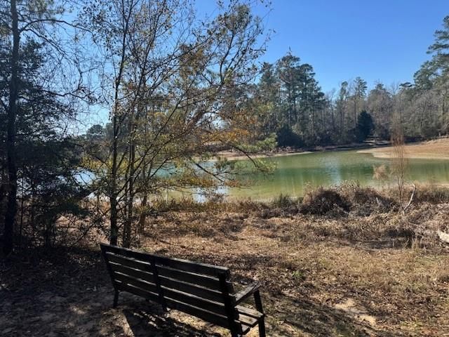 0 Sycamore Drive, Montgomery, TX 77356