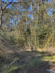 0 Sycamore Drive, Montgomery, TX 77356