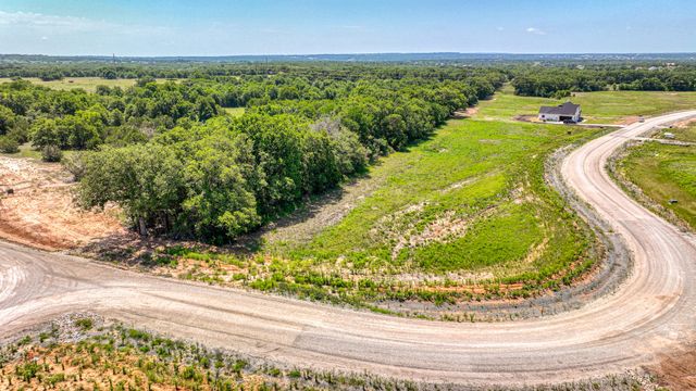 TBD 45 Cecil Court, Poolville, TX 76487
