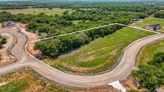 TBD 45 Cecil Court, Poolville, TX 76487