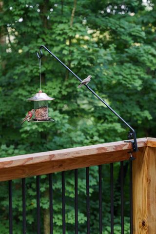 7567 Hallows Dr, Nashville, TN 37221