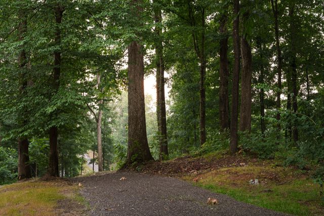 7567 Hallows Dr, Nashville, TN 37221