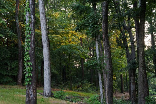 7567 Hallows Dr, Nashville, TN 37221