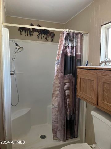 164 W MORRIS Drive, Queen Valley, AZ 85118