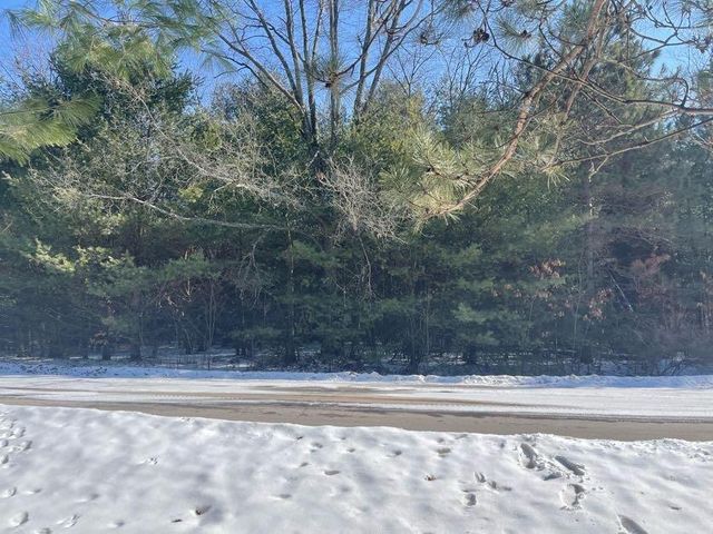 9086 Forest Pines Drive, Mecosta, MI 49332