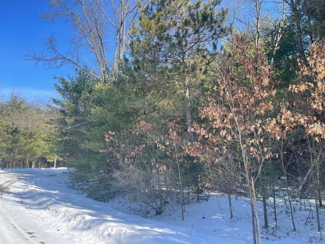 9086 Forest Pines Drive, Mecosta, MI 49332