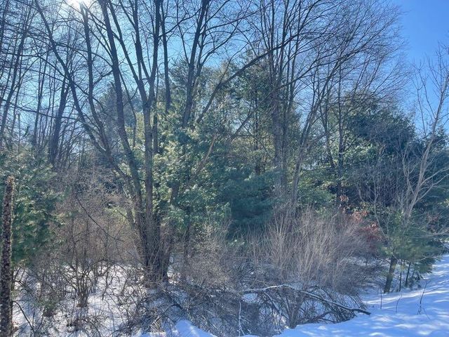 9086 Forest Pines Drive, Mecosta, MI 49332