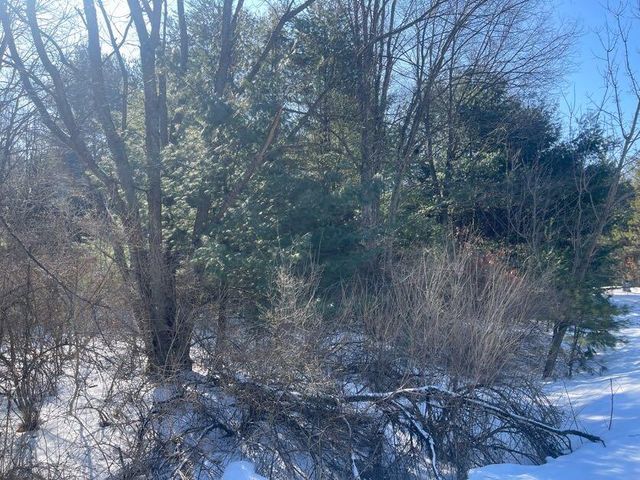 9086 Forest Pines Drive, Mecosta, MI 49332