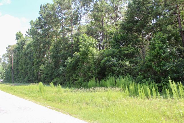 3B-15-22 Fire Sky Road, Huntsville, TX 77340