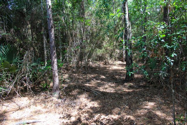 3B-15-22 Fire Sky Road, Huntsville, TX 77340