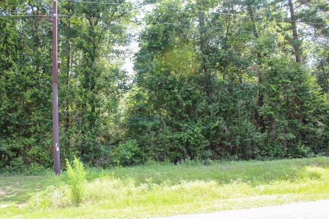 3B-15-22 Fire Sky Road, Huntsville, TX 77340