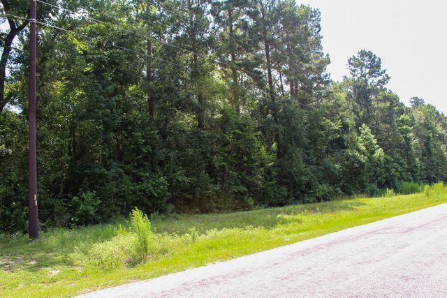 3B-15-22 Fire Sky Road, Huntsville, TX 77340