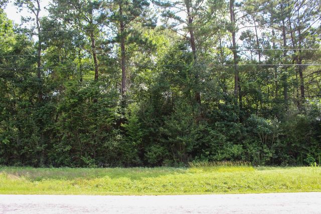 3B-15-22 Fire Sky Road, Huntsville, TX 77340