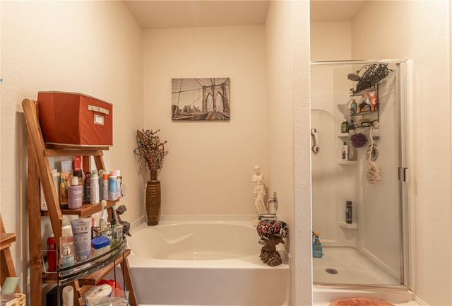 10723 Anthonomus Way, Richmond, TX 77469