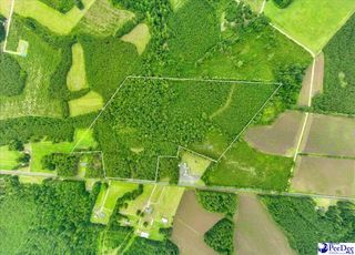 53 Acres Old River Rd, Florence, SC 29505