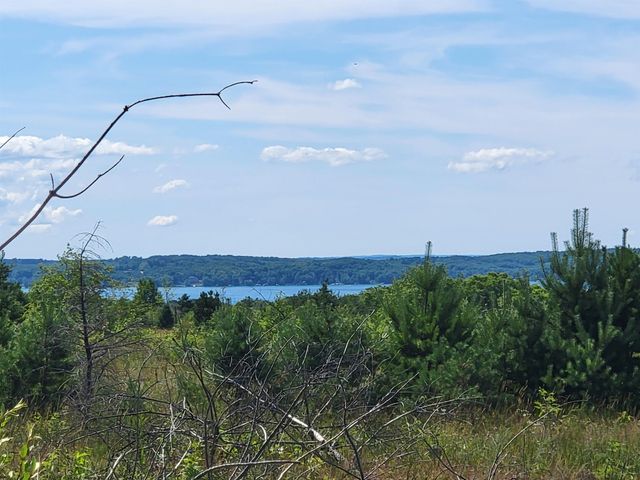 Parcel D Cemetery Road, Alden, MI 49612