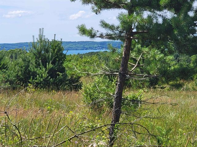 Parcel D Cemetery Road, Alden, MI 49612